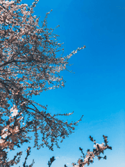 스물 다섯, 스물 하나 팬픽