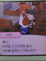 가을을 남기고 간 사랑