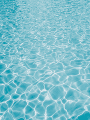 The view from ... the Greenhouse