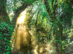 창틀에 걸린 우연 하나