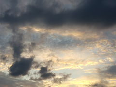 [원피스] 아, 사랑. ㅡ16ㅡ