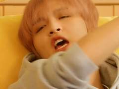 주운 강아지가 곰돌이 수인 이래요.