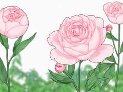 작약 브러쉬 소재