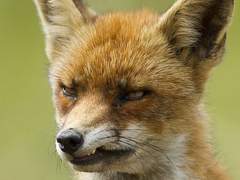 1화- 쟤네는 누꼬?