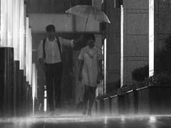 [ 도리벤 ] 미안해 하지마 에마