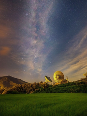 망상트랙리스트