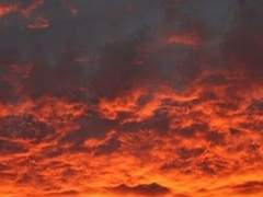 이루다 | 19 | XY | 3