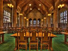 체스트넛 109 - L