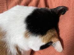 짙은 우울에도 이제는 조금 숨을 쉴 수 있으니