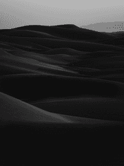 인간을 흉내낸 것,