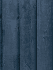 2022 이나리 합작