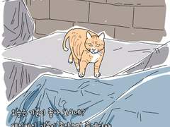 [길냥이 그리기 챌린지] 009 노랑이 친구