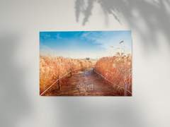 선명 님의 <이방인> 포스터2