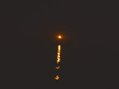 스트로베리 문 strawberry moon 3