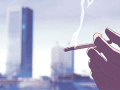 자유가 존재하지 않는 새