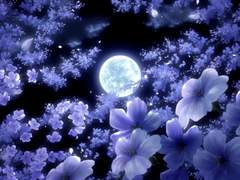 빛을 지키는 어둠의 양면