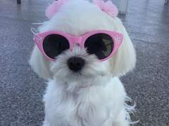 엔시티나페스추천_07