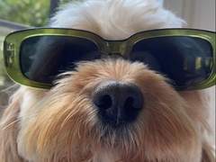 엔시티나페스추천_06