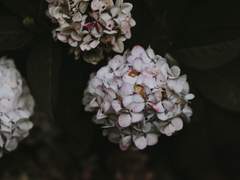 블레인 ☪ XX ☪ 19 ☪ 양자리