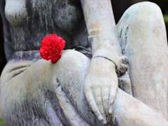 Spring begins again and again