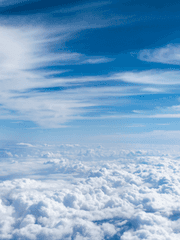 가정교사히트맨리본