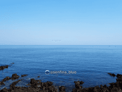 2022 제주여행기: 특별편