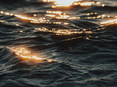 [bl] 그 녀석이 제 발로 내게 왔다(1)