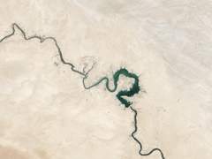 [멜피스] 그로써 피어나는 새로운 욕심