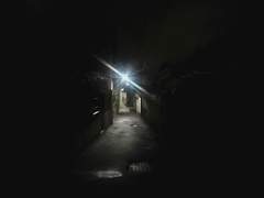 더위가 싫었다.