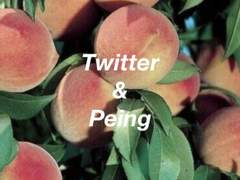 트위터 & 페잉
