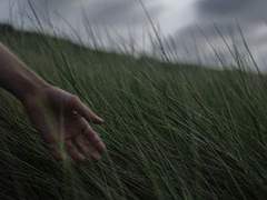 바람은 지나가려고