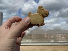 첫 번째 과자추천