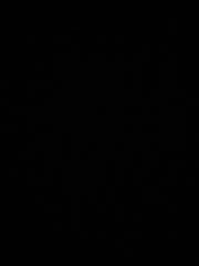 모노노케 약장수