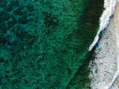 제가 언제 싫다는 말을 한 적이 있던가요?