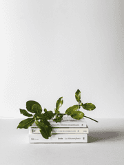 가히리 소소한 썰