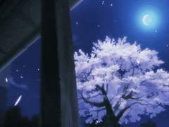 가벼운 로맨스 7