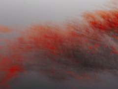 [화산귀환] 망각