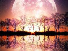 아포가토맛 쿠키 드림