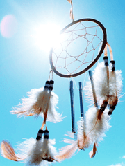 테니스의 왕자 드림