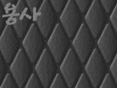 어? 이게 아닌데