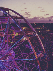 White Ra3bit - For23.