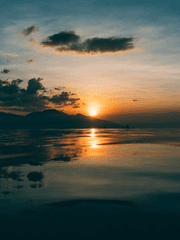 트레멘더스, 니타시아, 짧은 글