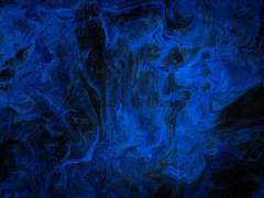 잊혀진 관찰자의 기록.