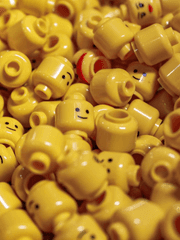 눈 안보이는 마카크