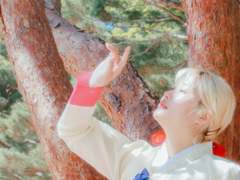 스냅촬영 :: 한복, 개나리