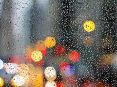 [우석도윤] 물에 젖은 빗자루 꼴