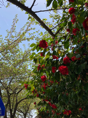 좋아하는 것들을 담아,