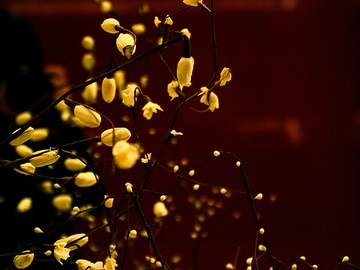 안녕, 그리고 안녕 : 1 (미완종결)