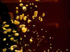 안녕, 그리고 안녕 : 2 (미완종결)