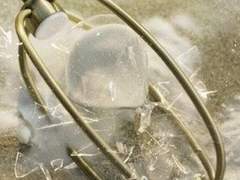 01. 주요 설정 정리